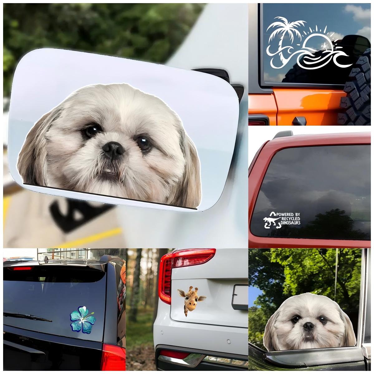 Elephant Snowboarder Car Eye C - огляд і ціна Laptop Accessories You Must Have