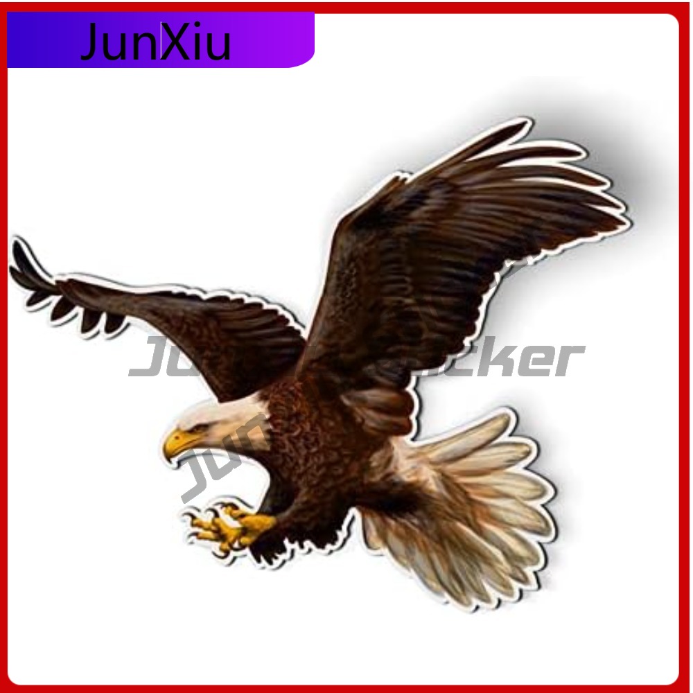 Bald Eagle American Eye Catchi - огляд і ціна Laptop Accessories You Must Have